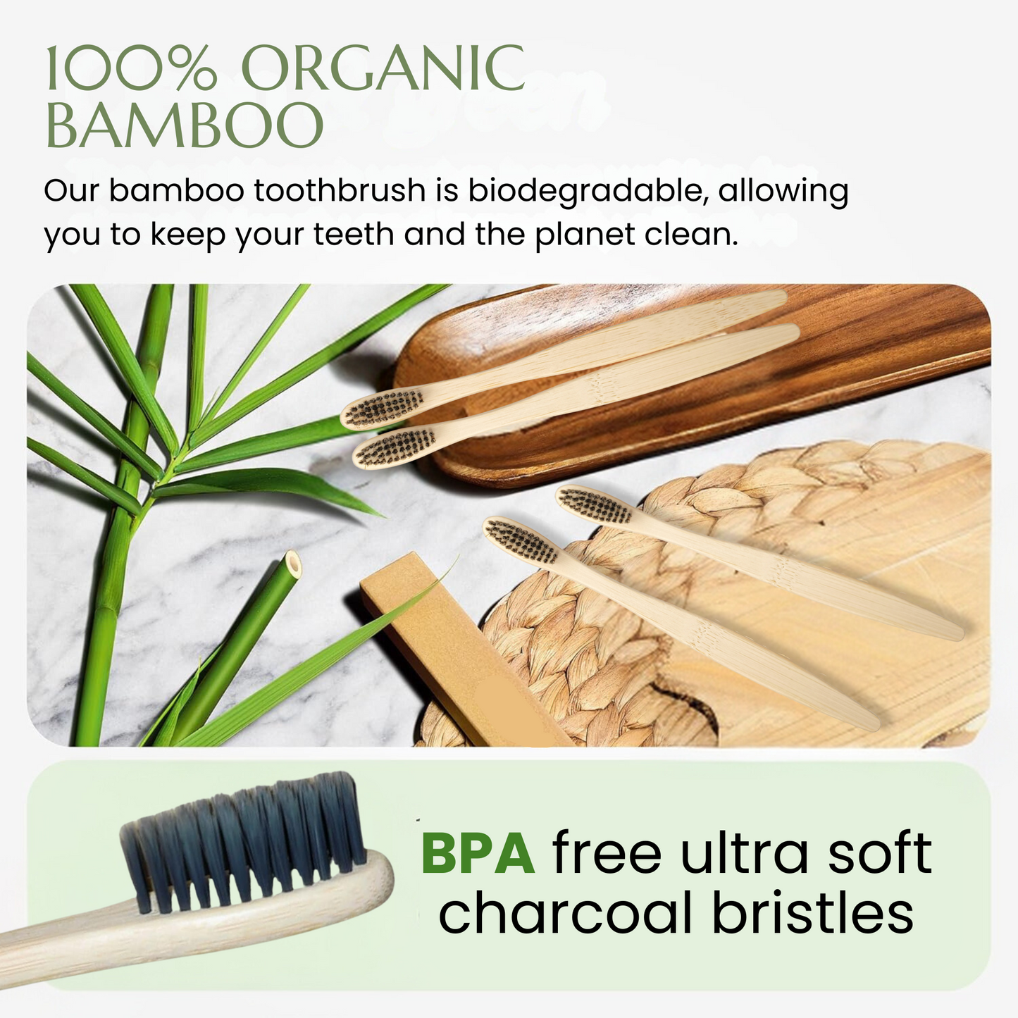 Eco-Friendly C Curve Bamboo Toothbrush Combo – Stylish, Sustainable, and Effective