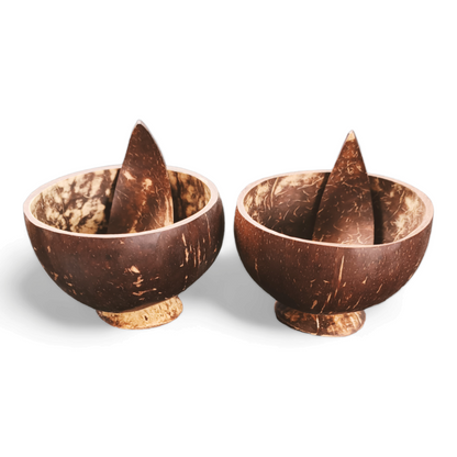 Embrace Sustainability with Eco Gree Coconut Shell Bowl with Spoon - 450ML