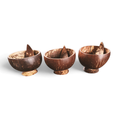 Embrace Sustainability with Eco Gree Coconut Shell Bowl with Spoon - 450ML