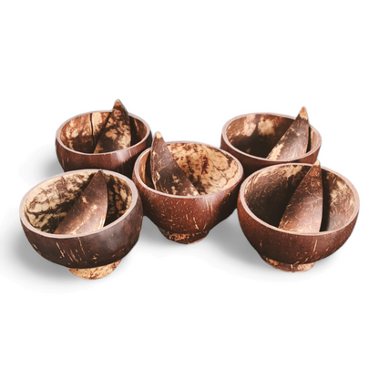 Embrace Sustainability with Eco Gree Coconut Shell Bowl with Spoon - 450ML